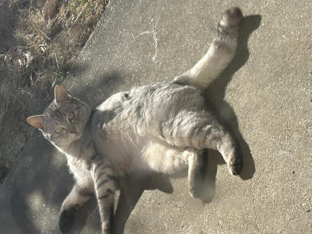 ブイ