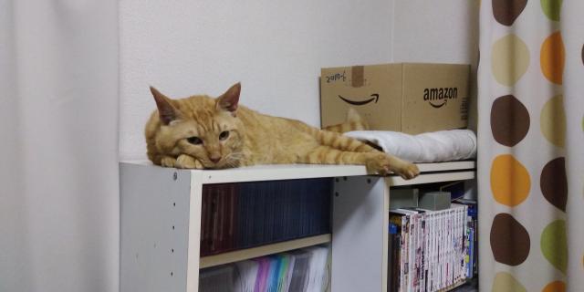 ちゃん