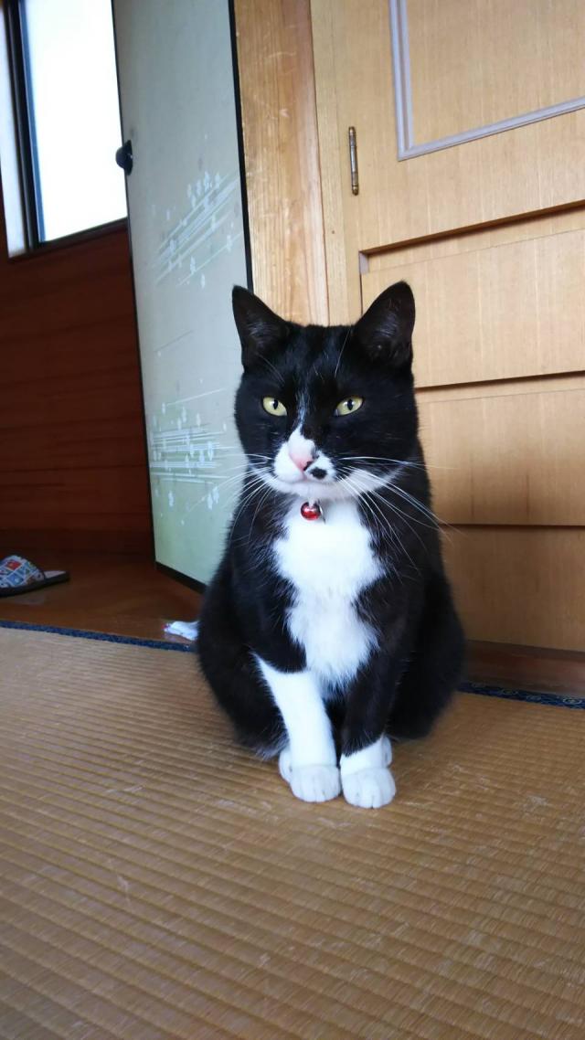 レオ
