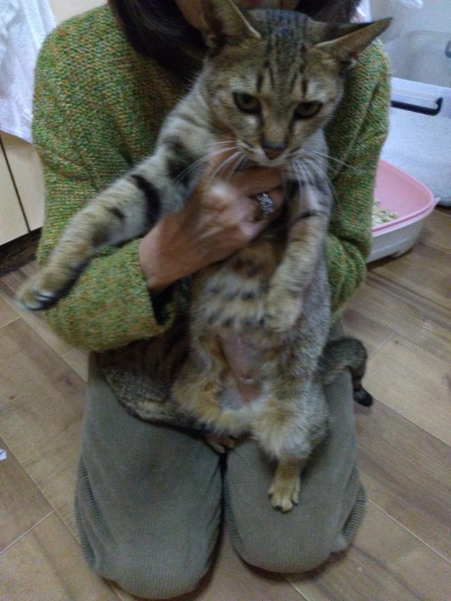 みーちゃん