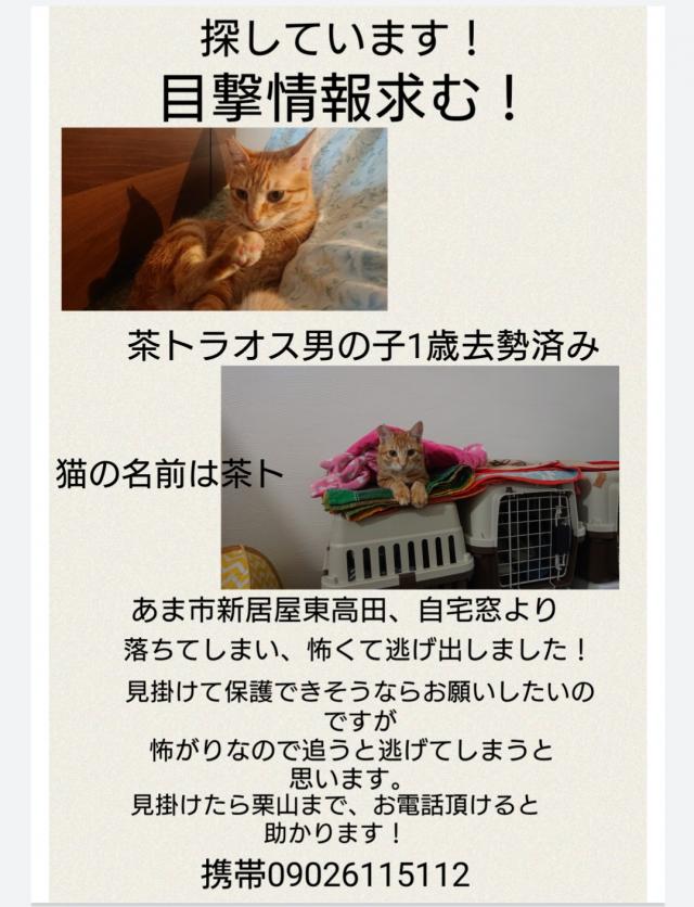 茶ト