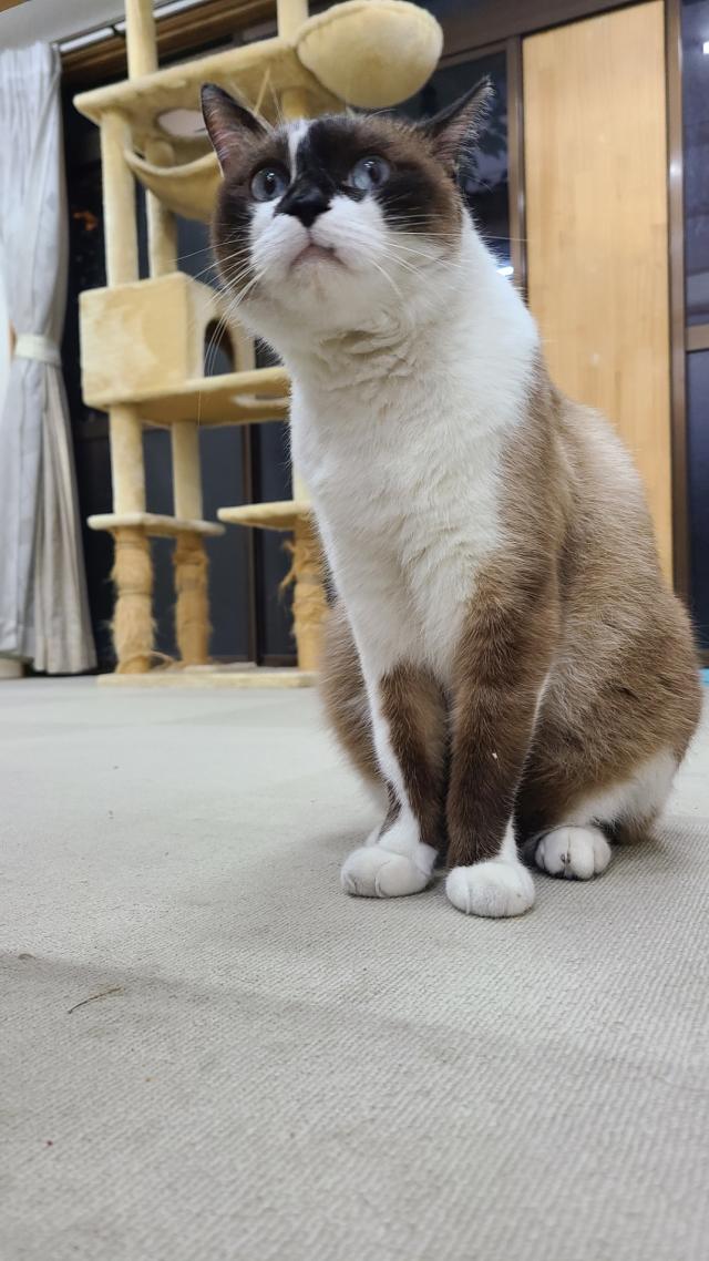 じゅんた