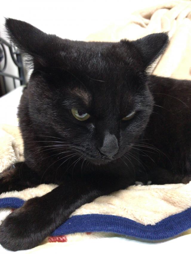 いさき