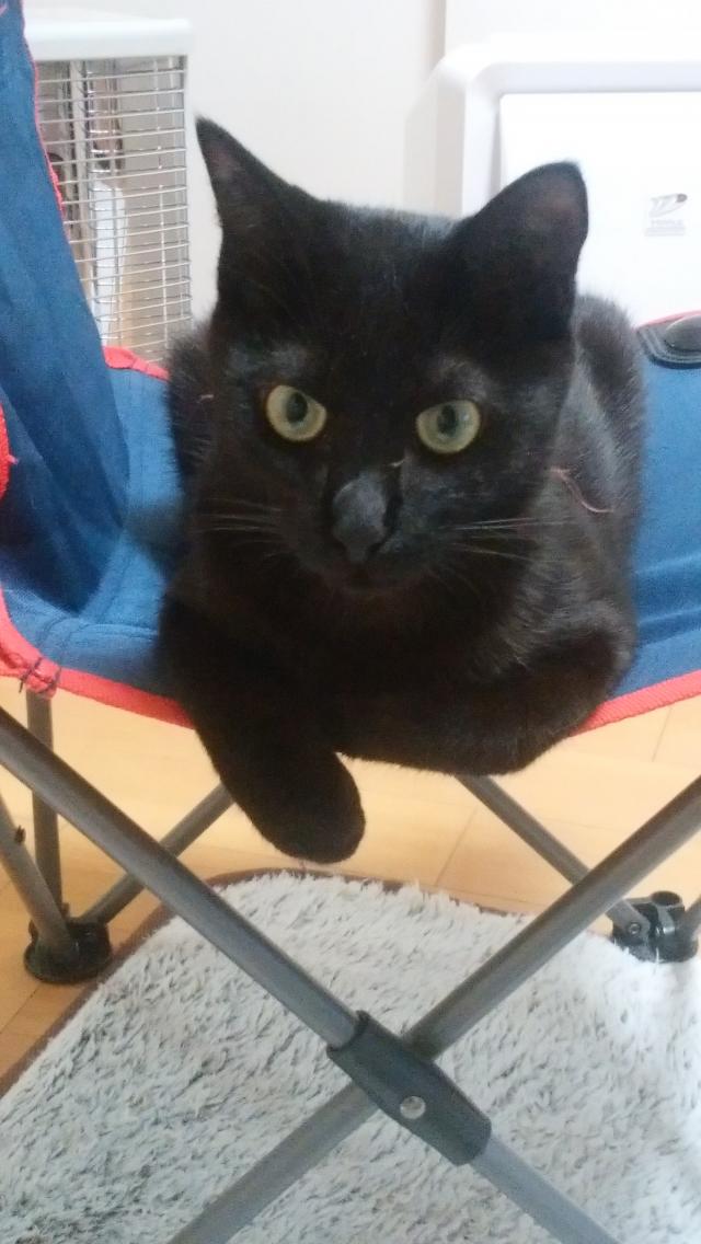 てん