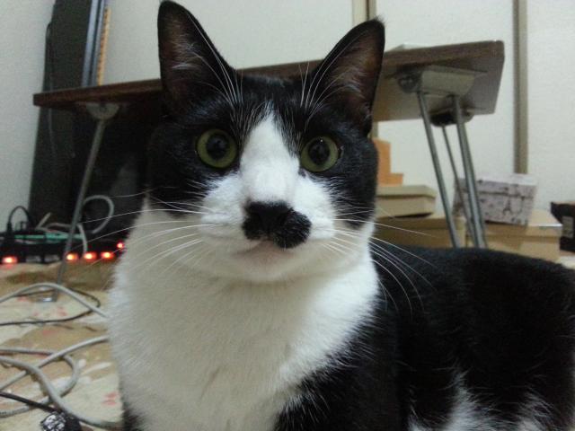 ノンベエ