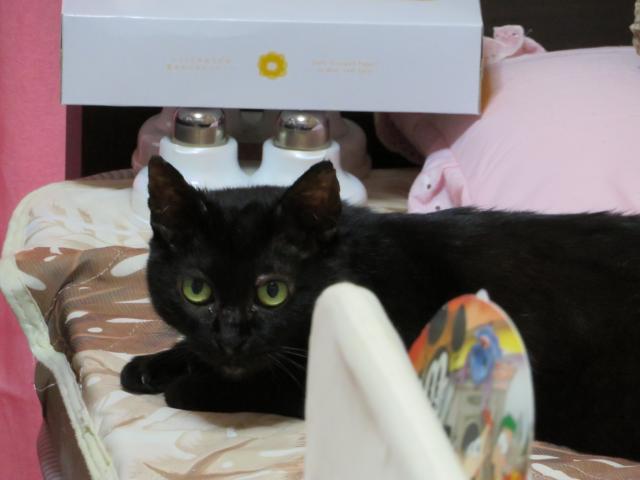 くろみ