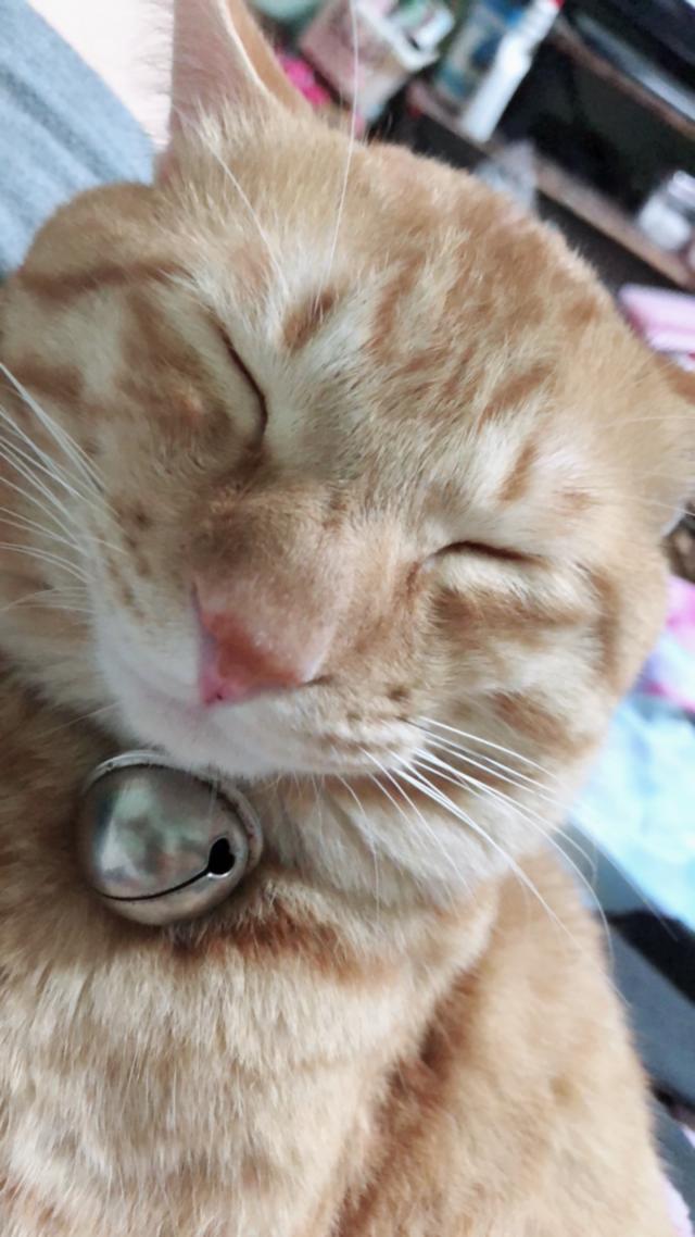 マロン