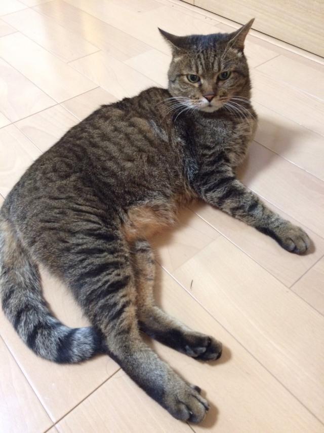 あたり