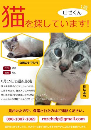 ロゼ