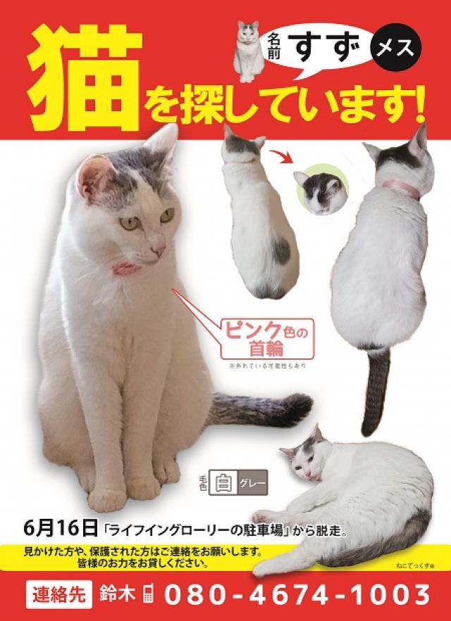 すずちゃん