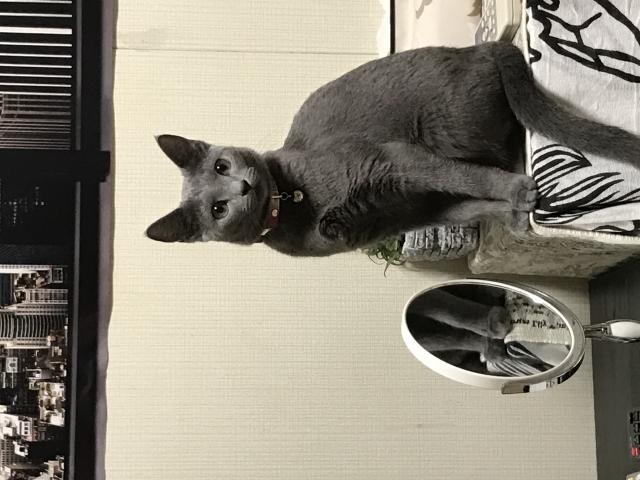 プー