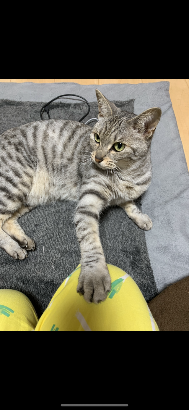 あずき