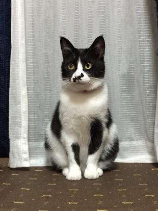 ちーちゃん