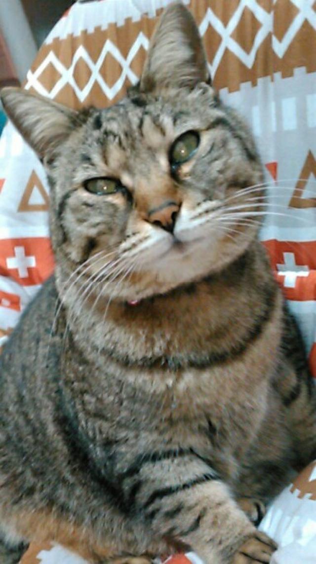 ベル