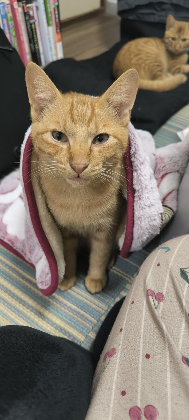ちびじろぅ