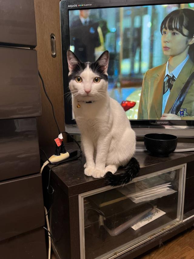のあ