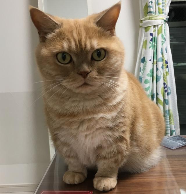 ベティ