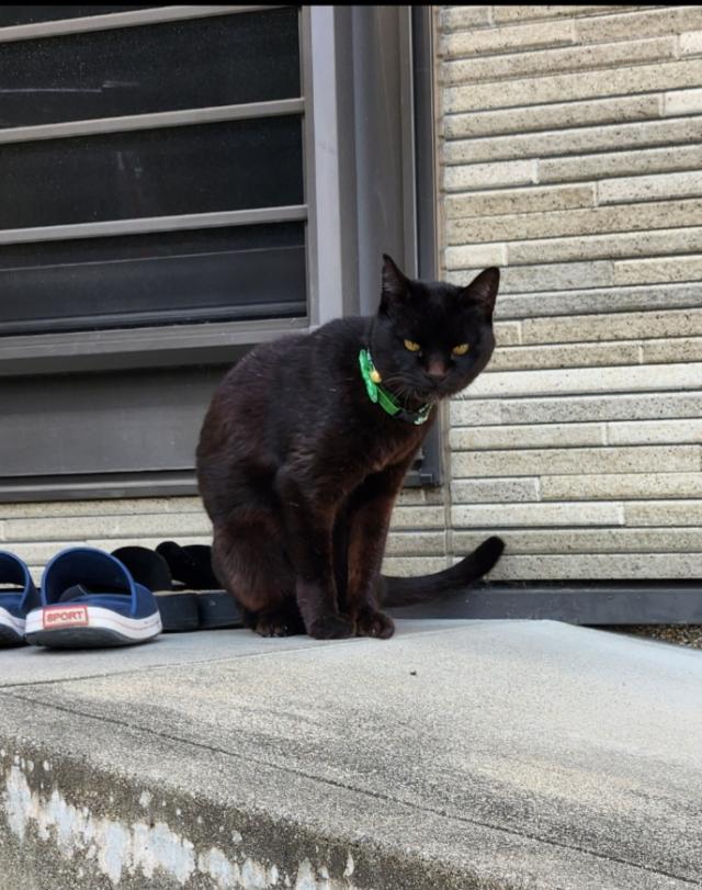 くーちゃん