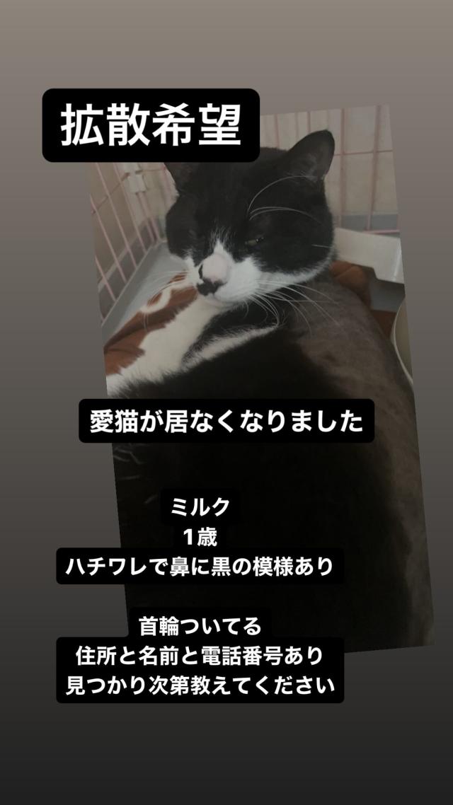 ミルク