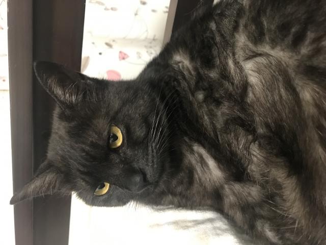 さう