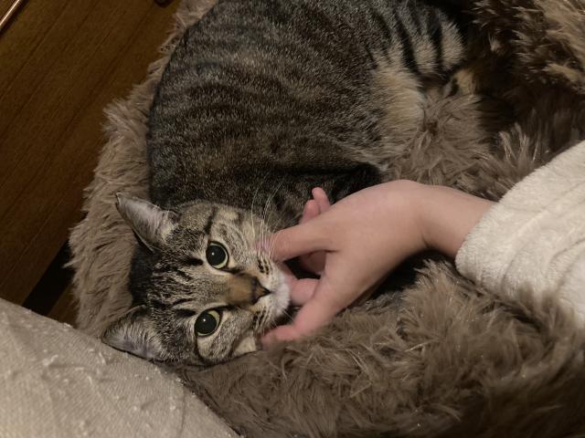 まる