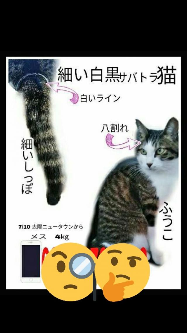 ふうこ