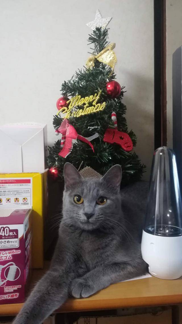 グレ