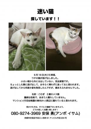 こむぎ