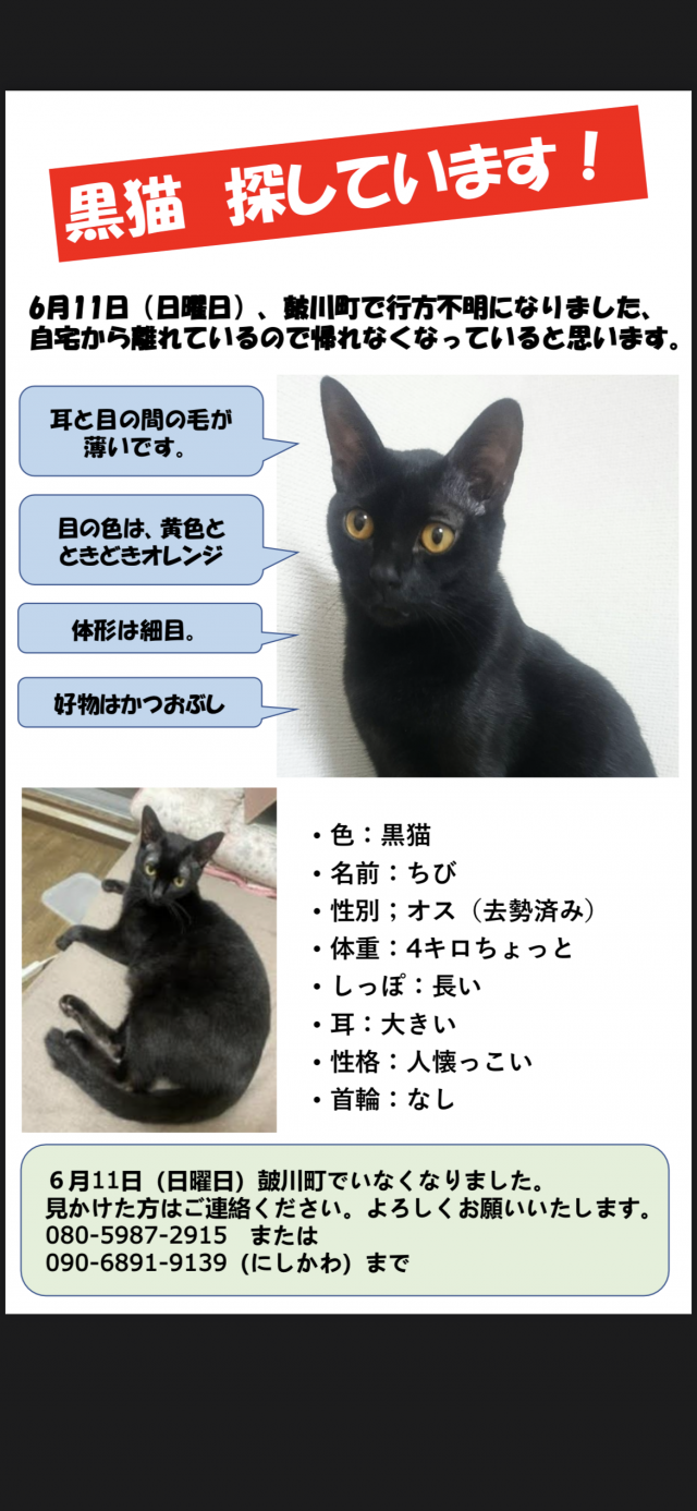 チビ