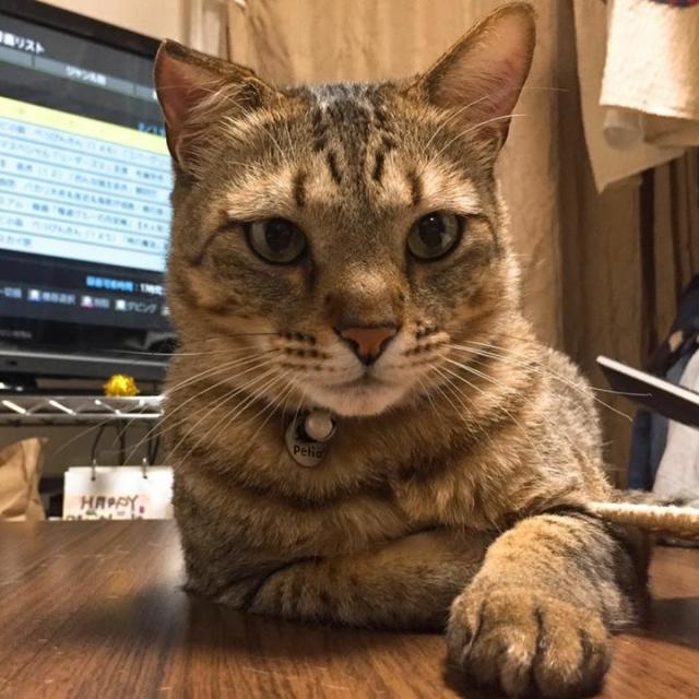 マロン