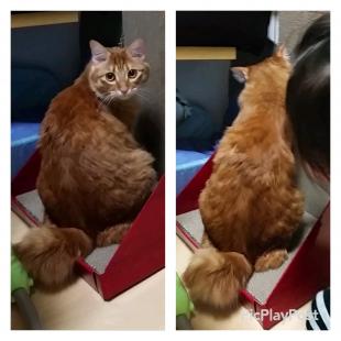 まる