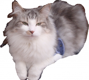 くう