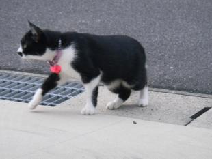 ミー
