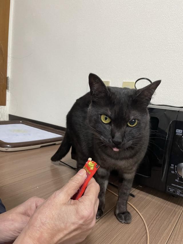 くろんちゃん