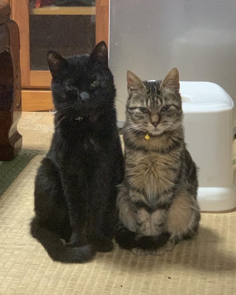 クク