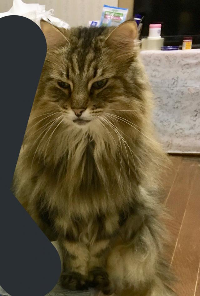 らんたん
