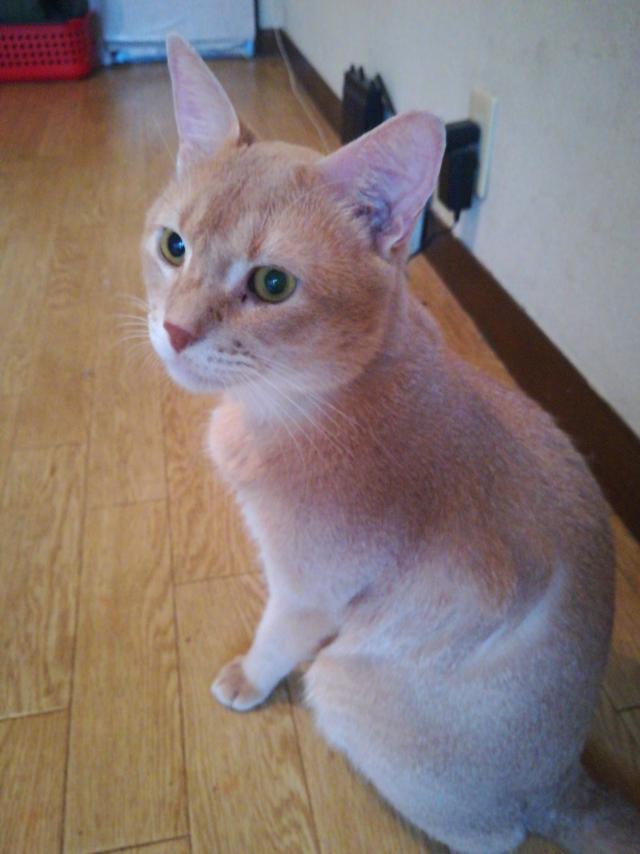 おじいちゃん