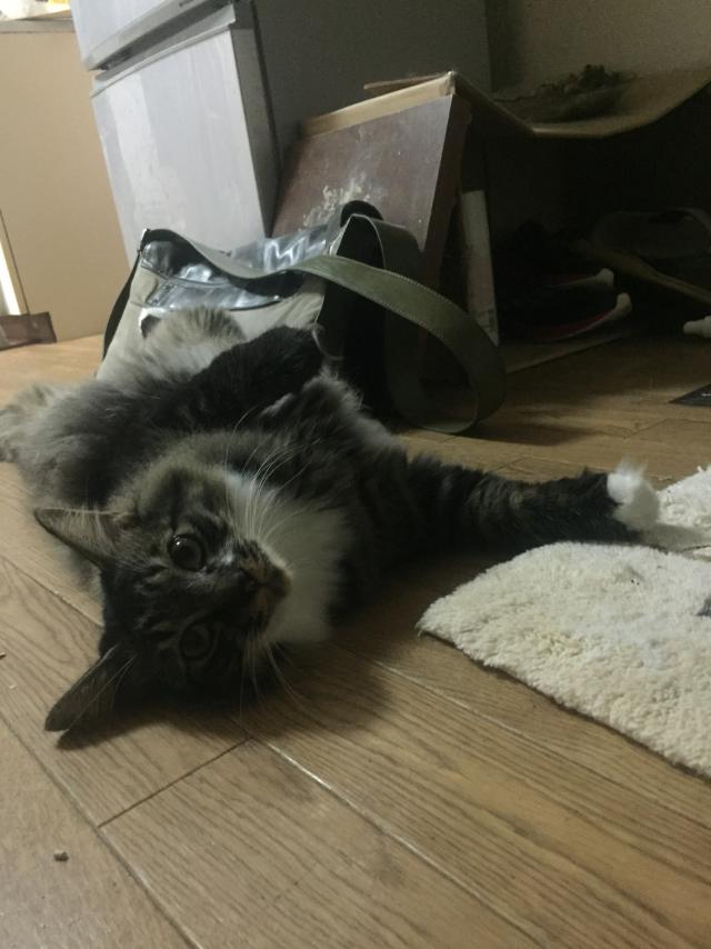 ふくすけ