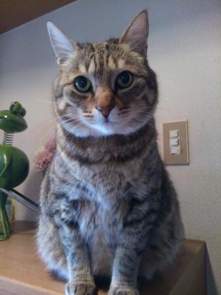 まる