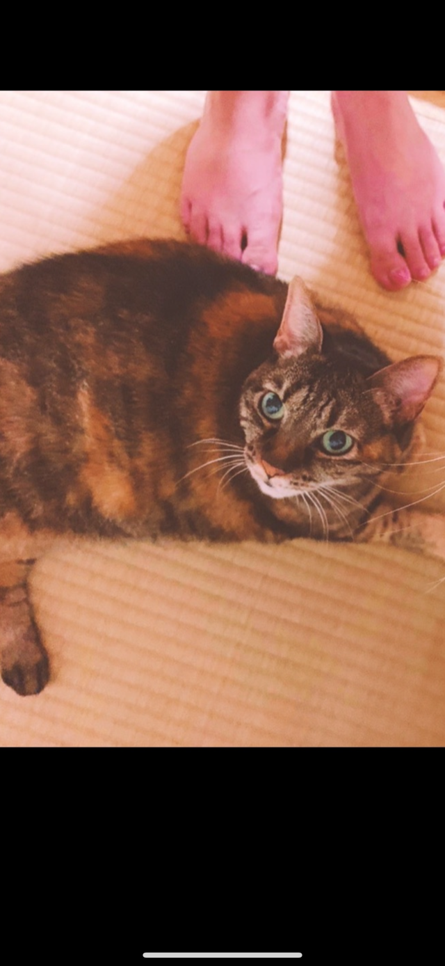 かっち