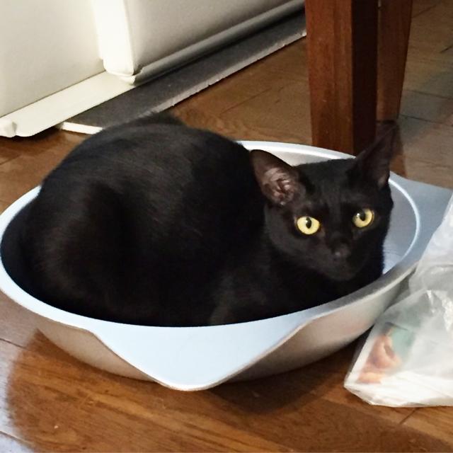 クロ