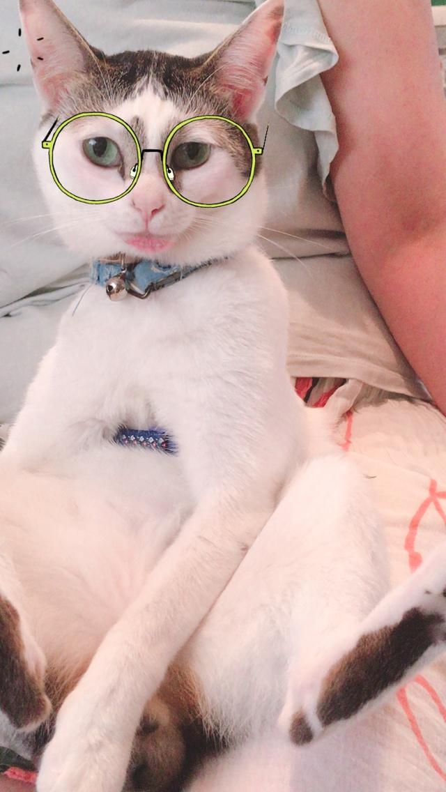 ミイタ