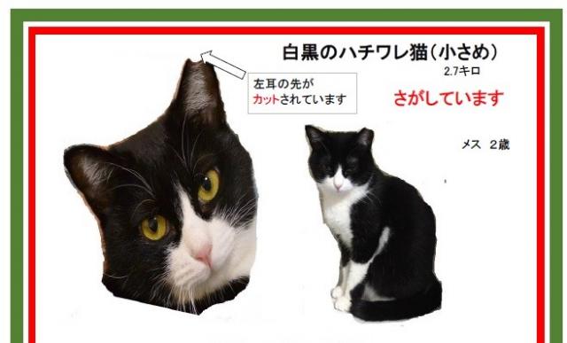 ミルク