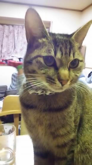 マロン