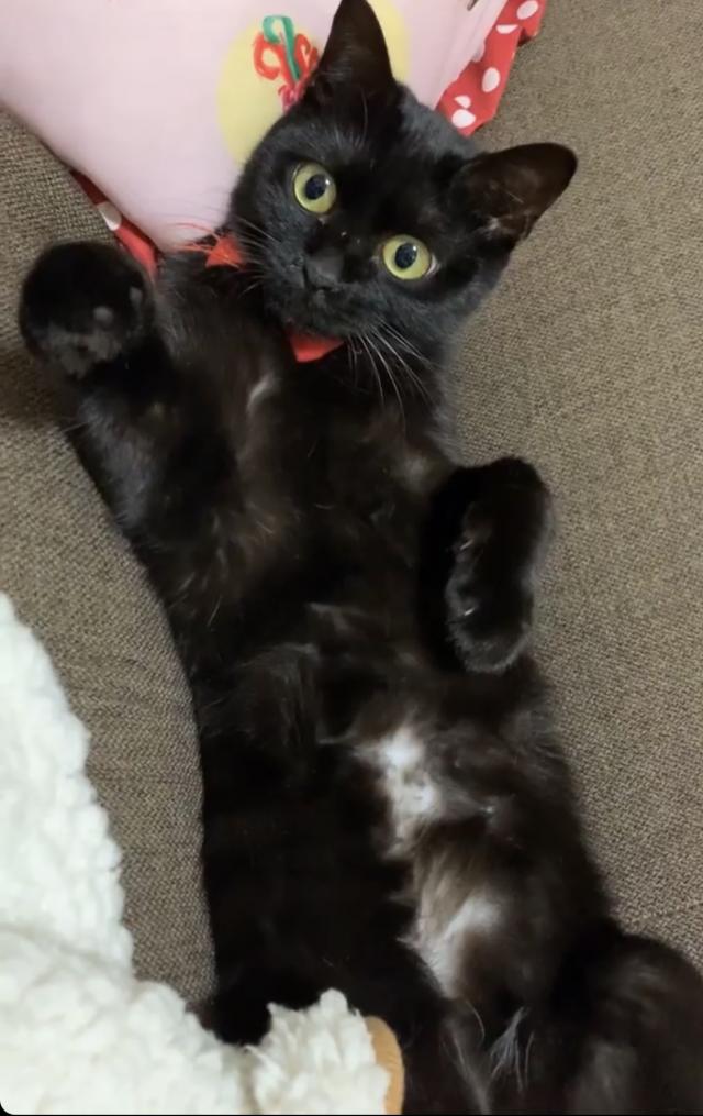 ララ