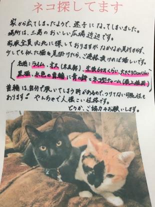 ライム