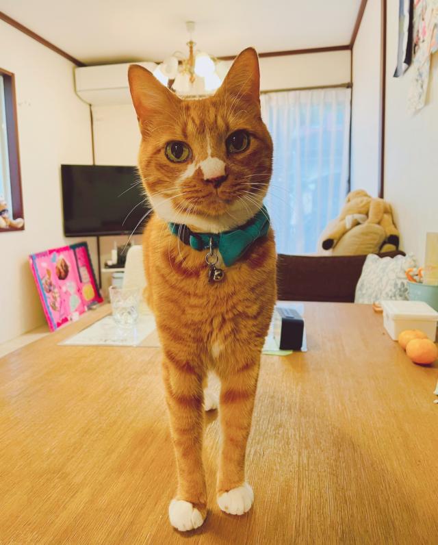 エム
