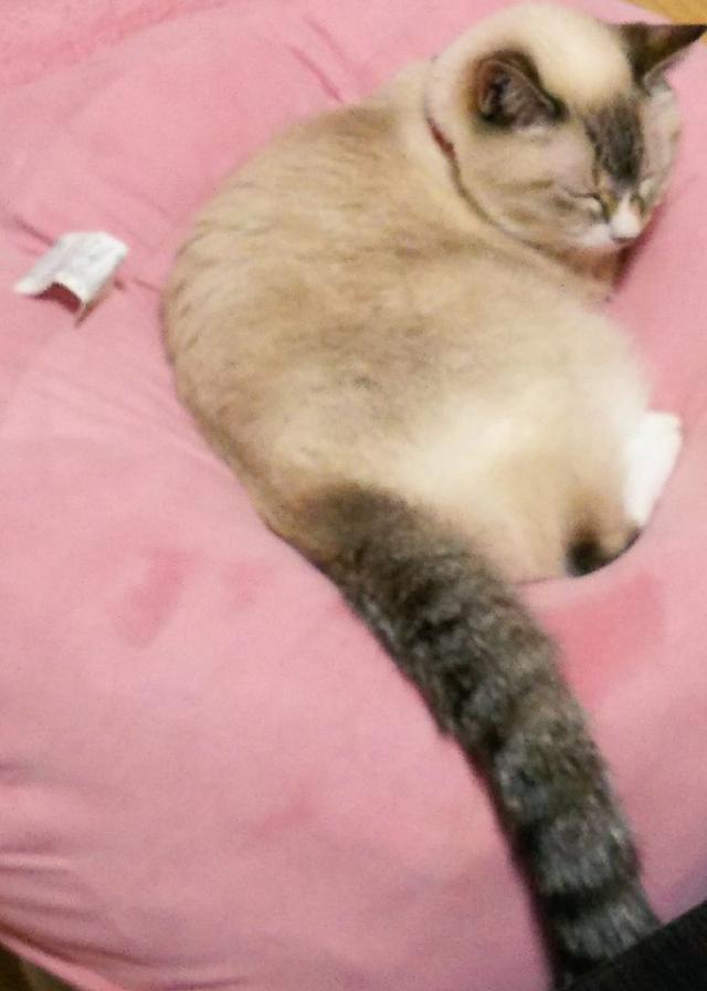 もも