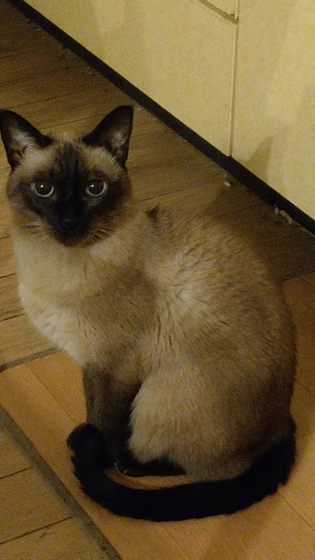 ベル