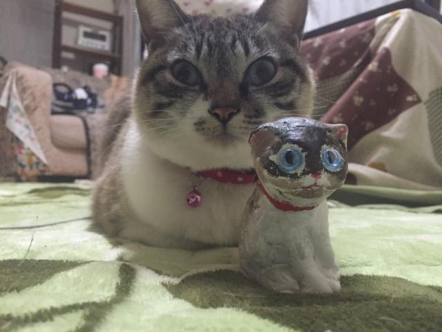 シフォン